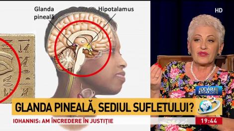 Lidia Fecioru, despre glanda pineală. Ce este și cum ne influențează