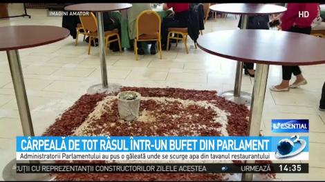 C&acirc;rpeală de tot r&acirc;sul &icirc;n Parlament