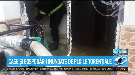 Case şi gospodării inundate de ploile torenţiale