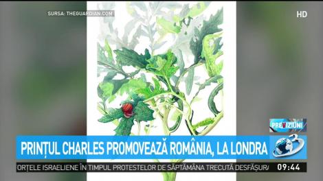 Prinţul Charles promovează România, la Londra