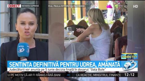 Sentinţa definitivă pentru Udrea, am&acirc;nată