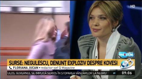 Surse: Negulescu, denunţ de 50 de pagini