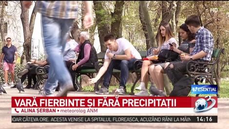 Prognoza pentru trei luni. Cum va fi vremea vara aceasta