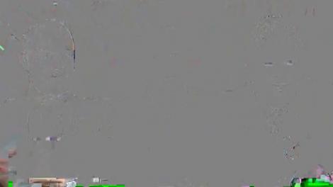 Dan V&acirc;lceanu, despre candidaţii la alegerile europarlamentare din 2019