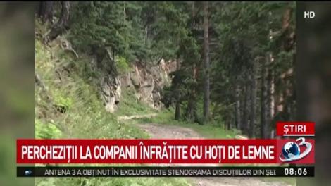 Percheziții la afaceriști cu lemn furat. Este vizat gigantul austriac Schweighofer. Prejudiciul se ridică la 25 de milioane de euro