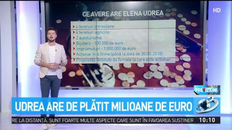 Udrea are de plătit milioane de euro