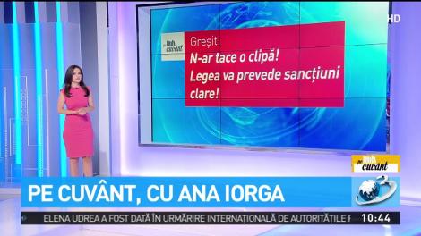 Ana Iorga explică cum este corect: Mi-ar place sau mi-ar plăcea?
