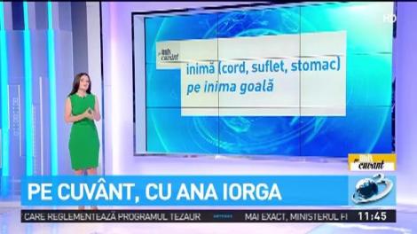 Ana Iorga explică de unde vine cuv&acirc;ntul inimă