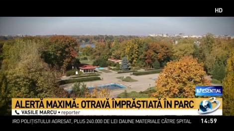 Alertă maximă &icirc;n două parcuri din Capitală