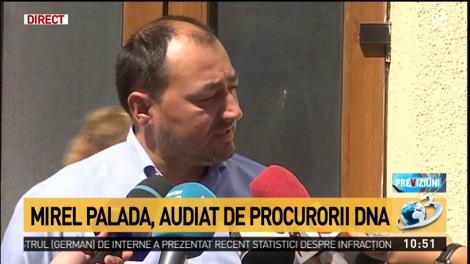 Mirel Palada,sesizare despre finanțarea USR