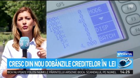 Ratele în lei ale românilor au crescut în doar un an cu aproape 300 de lei