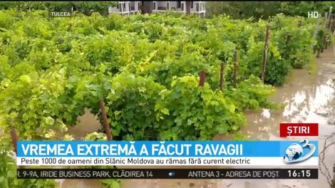 Vremea extremă a făcut ravagii în 14 judeţe