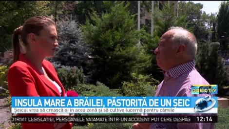 Insula Mare a Brăilei, păstorită de un şeic