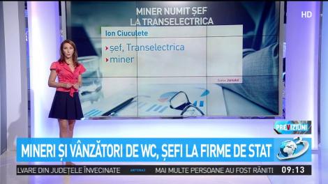 Mineri şi v&acirc;nzători de WC, şefi la firme de stat