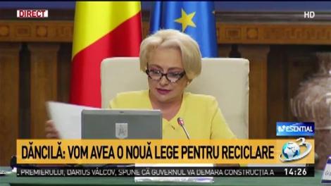 Decizii importante la Guvern. Ce anunţuri a făcut Viorica Dăncilă