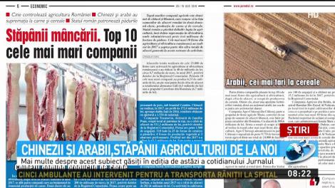Chinezii şi arabii, stăp&acirc;nii agriculturii de la noi