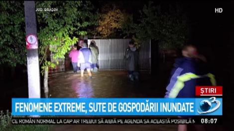 Furtunile şi ploile au făcut prăpăd &icirc;n judeţele Timiş şi Neamţ