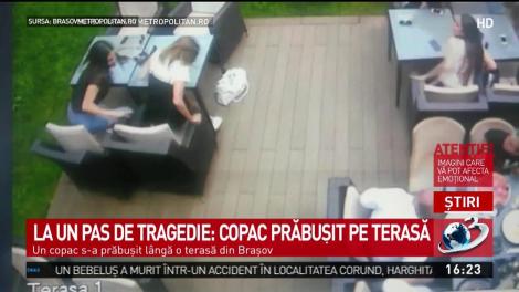 La un pas de tragedie! Un copac s-a prăbușit peste o terasă&nbsp;
