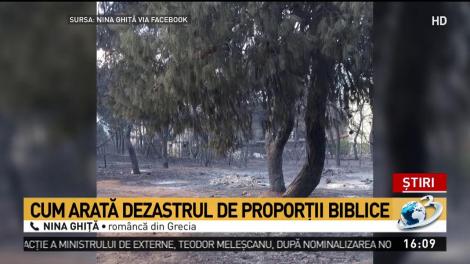 Imagini filmate cu infernul din Grecia. Declaraţia cutremurătoare a unei românce