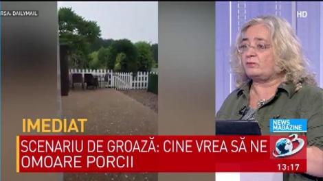 Anunț de ultimă oră de la meteorologi! Cum va fi luna august, după vijeliile din iulie