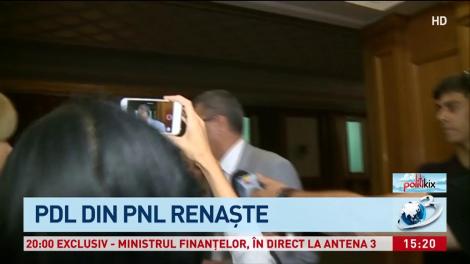 Ce fel de probleme sunt &icirc;n interiorul PNL