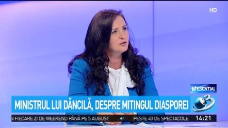 Ministrul lui Dăncilă, despre mitingul diasporei