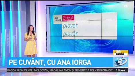 Formele corecte ale substantivelor &bdquo;pulover&rdquo; și  &bdquo;maiou&rdquo;