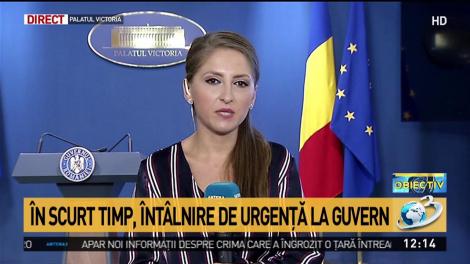 &Icirc;nt&acirc;lnire de urgenţă la Guvern, pe tema pestei porcine