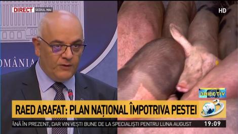 Raed Arafat, avertisment de ultimă oră pentru cei care dețin porci