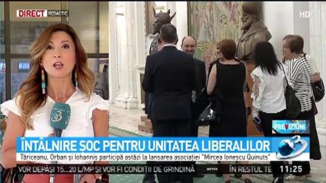 &Icirc;nt&acirc;lnire şoc pentru unitatea liberalilor, cu ocazia lansării asociaţiei Mircea Ionescu Quintus