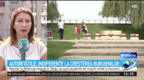 Operele lui Br&acirc;ncuşi din T&acirc;rgu Jiu, acoperite de vegetaţie