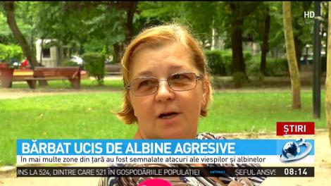 Un bărbat a murit după ce a fost &icirc;nţepat de o albină