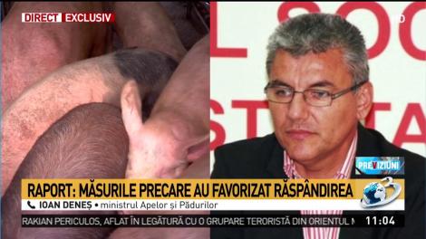 Scandalul pestei porcine ia amploare. Raport şocant al Comisiei Europene