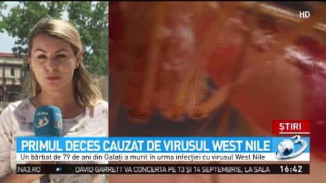 Un rom&acirc;n a murit din cauza virusului West Nile. 23 de cazuri de infecție &icirc;n acest an