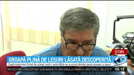 Porci sacrificaţi, abandonaţi într-o groapă neacoperită