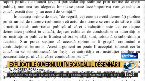 Exclusiv: Cum explică Guvernul numirea vicepremierului Stănescu în perioada în care Viorica Dăncilă a fost în concediu