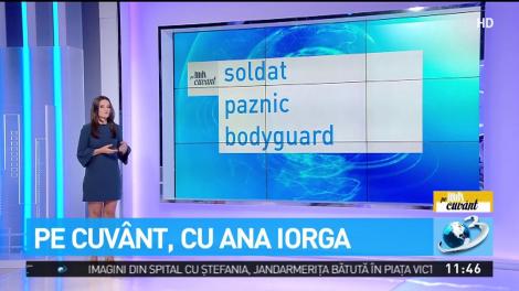 Ana Iorga explică de ce termenul ''jandameriţă'' este greşit