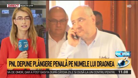 PNL depune pl&acirc;ngere penală pe numele lui Liviu Dragnea