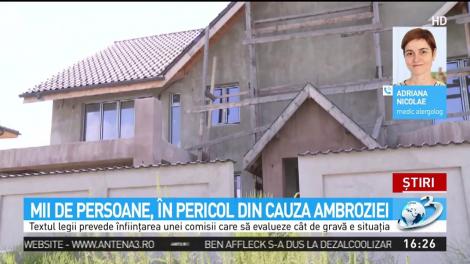 Lupta cu ambrozia, misiune imposibilă pentru stat