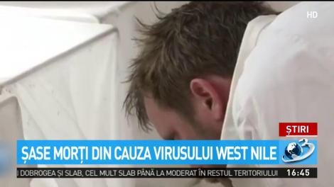 Şase persoane au murit &icirc;n urma infecţiei cu virusul West Nile, cauzată de &icirc;nțeptura de ț&acirc;nțar