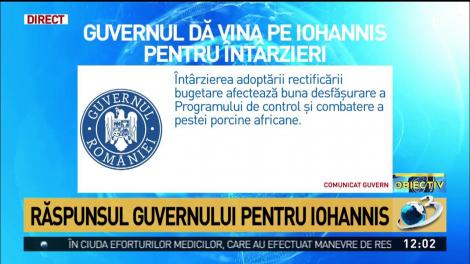 Răspunsul Guvernului pentru Iohannis &icirc;n criza pestei porcine