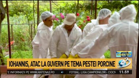 Iohannis, atac la Guvern pe tema pestei porcine