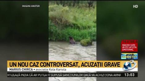 Operaţiune dramatică de salvare a unui pui de urs