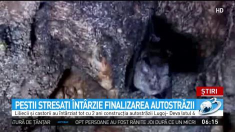 Statul plătește și incompetența, și &icirc;nt&acirc;rzierile. Motivele incredibile pentru care nu avem drumuri
