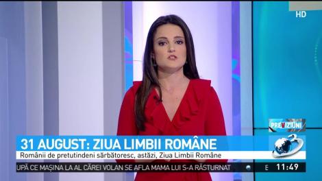 Ziua Limbii Rom&acirc;ne. Ana Iorga, despre cum a devenit &bdquo;romgleza&rdquo; tot mai utilizată de rom&acirc;ni