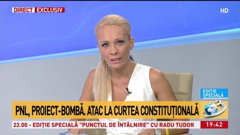 PNL, proiect-bombă. Atac la Curtea Constituțională