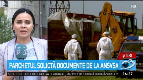 Audieri-bombă &icirc;n dosarul pestei porcină