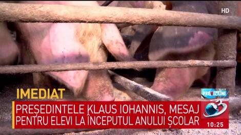 &Icirc;ncă un focar a fost confirmat &icirc;ntr-o localitate din Giurgiu