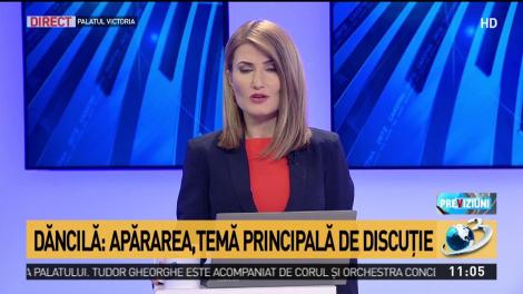 Dăncilă: Apărarea, temă principală de discuţie