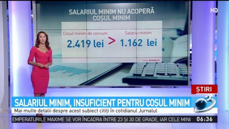 Salariul minim, insuficient pentru coşul minim